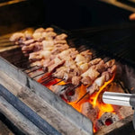 Soplador de Mano Portátil para Asador